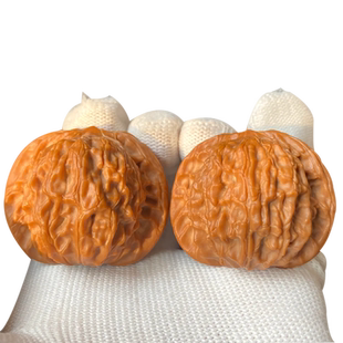 文玩核桃磨盘狮子头闷尖精品老树盘玩包浆玉化把玩麻核桃手把件