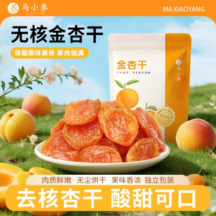 华誉堂马小养新疆特产无核金杏干软糯酸甜果脯小零食果干独立包装
