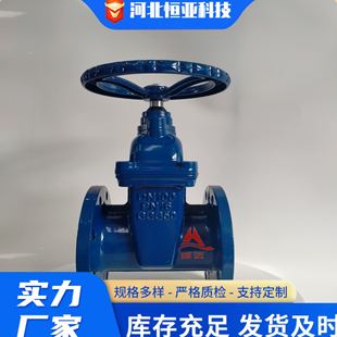 4铸铁闸阀法兰弹性座封闸阀 软密封闸阀国标德标45