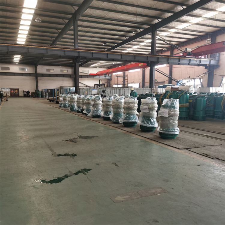 1000-60-315/潜水泵油室隔离耐磨合金铸铁矿用排沙排污泵