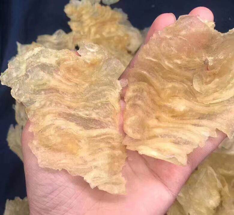 热销小斗湖胶花胶巴沙鱼胶老胶鱼肚鱼鳔奶冻煲汤海鲜海味干货70头
