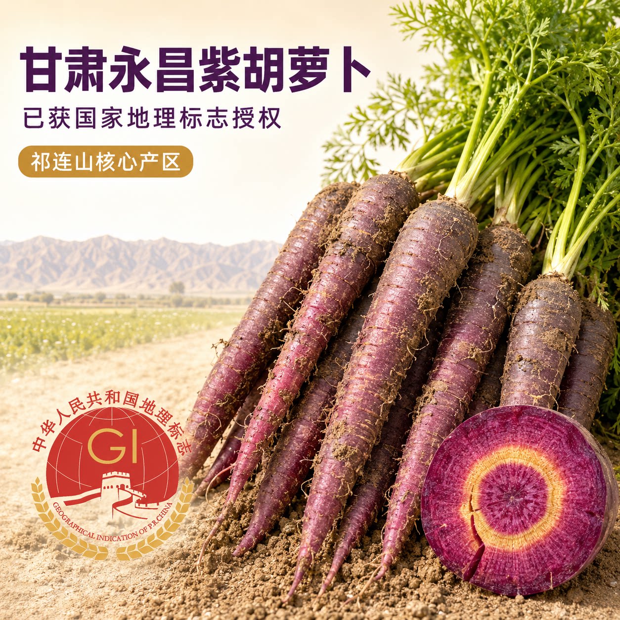 甘肃永昌胡萝卜新鲜紫色胡萝卜紫皮紫心健身轻食黑胡萝卜特色蔬菜