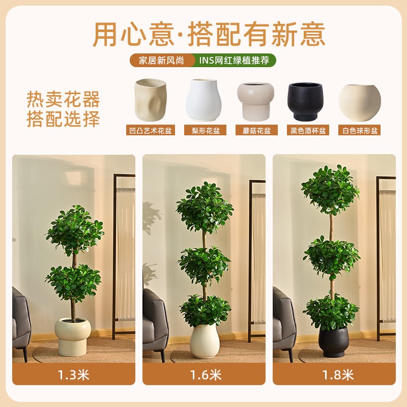 速发植物金钱树落地盆栽室内大型仿生绿植摆件直播间轻奢装饰花