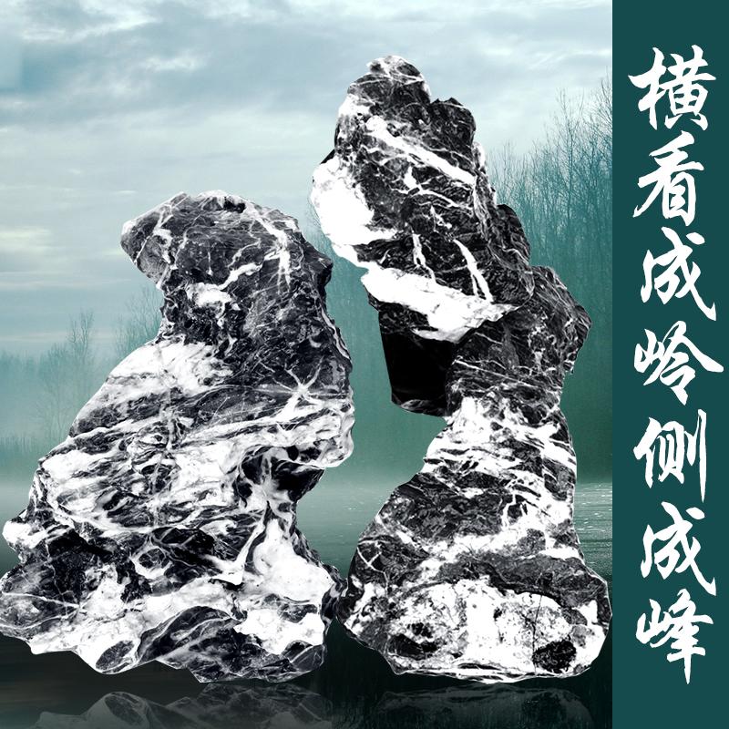 速发自然原石青龙石鱼缸造景石头乌龟晒背台水族装饰水草造景草缸