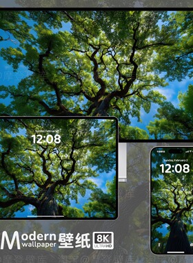 绿色护眼风景8K高清壁纸手机ipad平板电脑mac桌面高级感自然壁纸