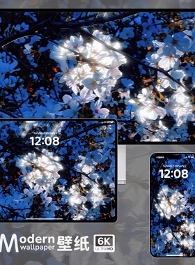 蓝调花朵4K超高清壁纸iPhone手机ipad平板电脑桌面高级氛围感壁纸
