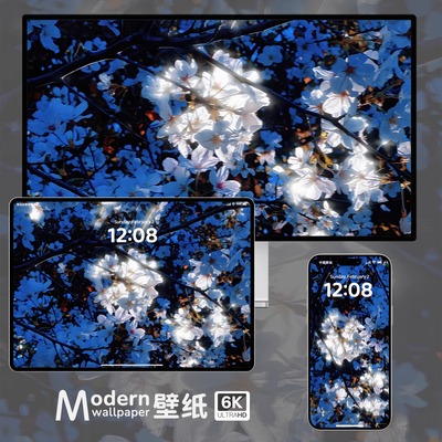 蓝调花朵4K超高清壁纸iPhone手机ipad平板电脑桌面高级氛围感壁纸