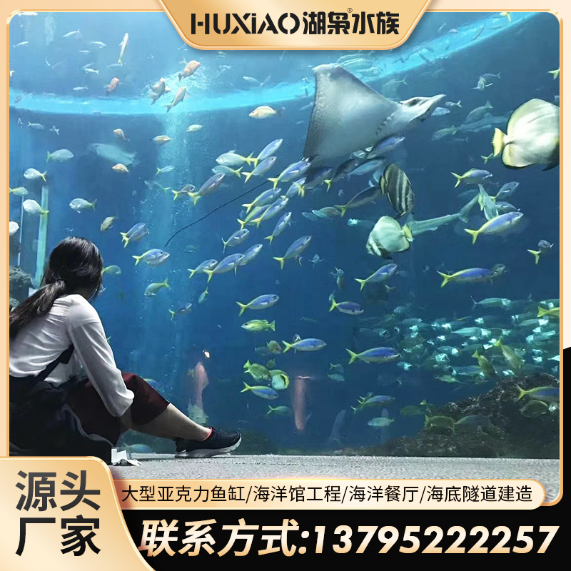 定制新款定制专业海洋生态海水缸圆柱水族箱定做亚克力鱼缸大型圆