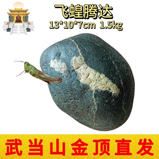 办公居家摆件长江天然水冲原石金纹石伊河石动物画面奇石飞蝗腾达