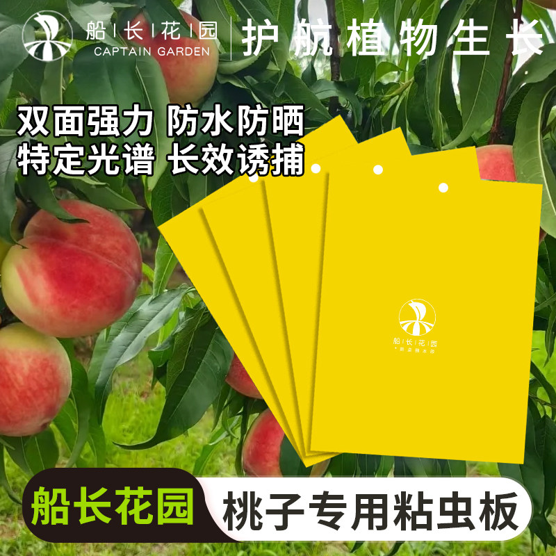 粘虫板菜地果园蚜虫粉虱花卉盆栽双面强力诱粘防虫黄板桃子网套袋