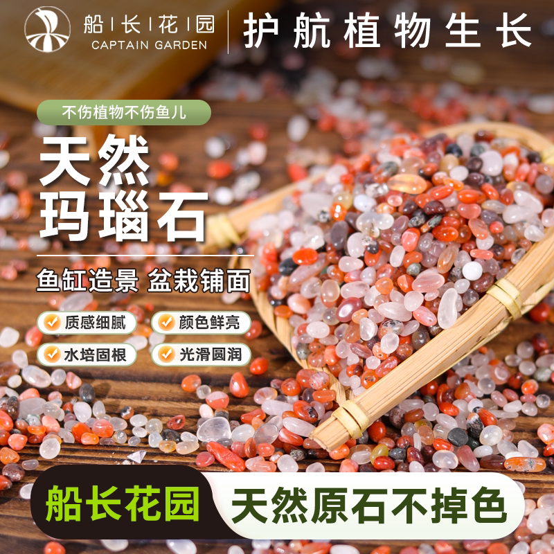 雨花石天然鱼缸造景五彩石水培养花盆栽鹅卵石小石头七彩碎石子CZ