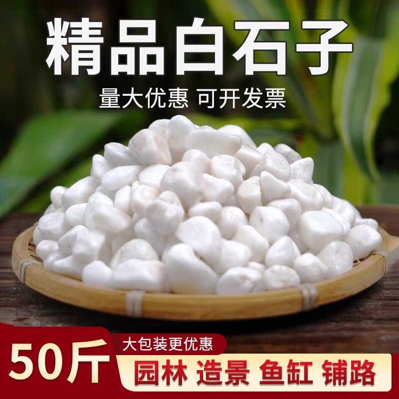 白石子造景批发庭院鱼缸造景花盆铺面天然白色大小石头铺地鹅卵石