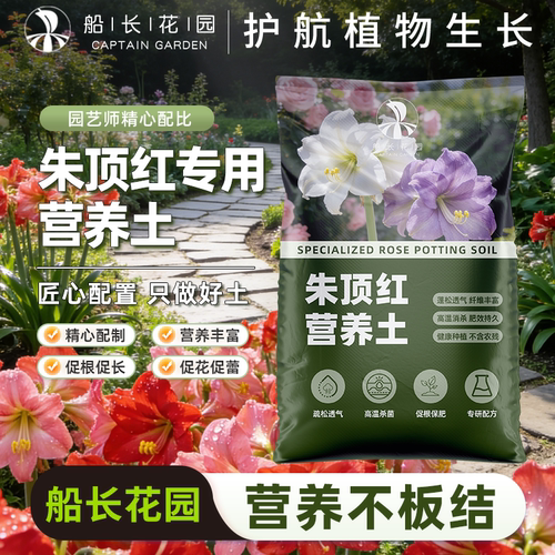 朱顶红阿弗雷鬼魅孔雀种球专用土