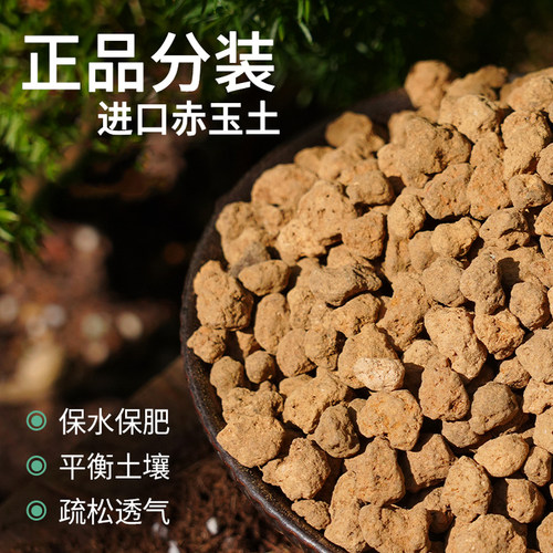 进口赤玉土多肉盆景专用硬营养土