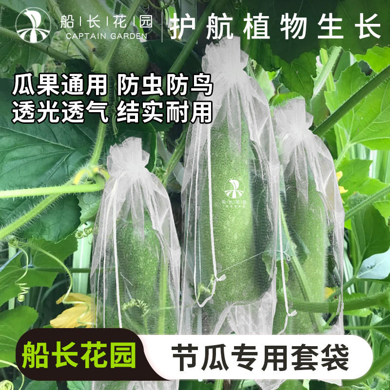 节瓜专用套袋黄瓜西葫芦茄子防虫防鸟神器瓜果防虫袋尼龙网纱套袋