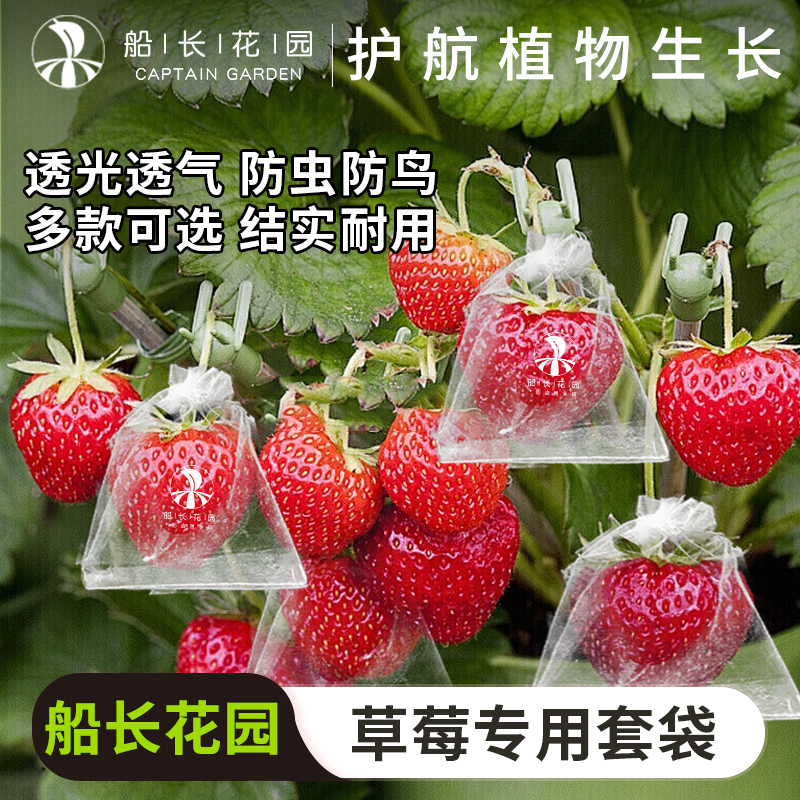 草莓套袋专用袋防虫防鸟尼龙网袋