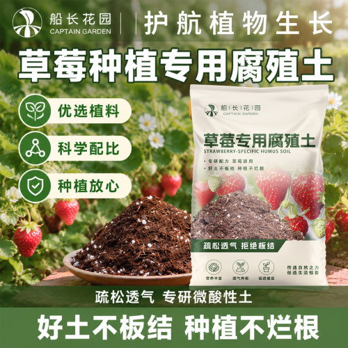 草莓专用土腐殖土营养土园艺土草莓阳台家用盆栽土壤种植土松针CZ