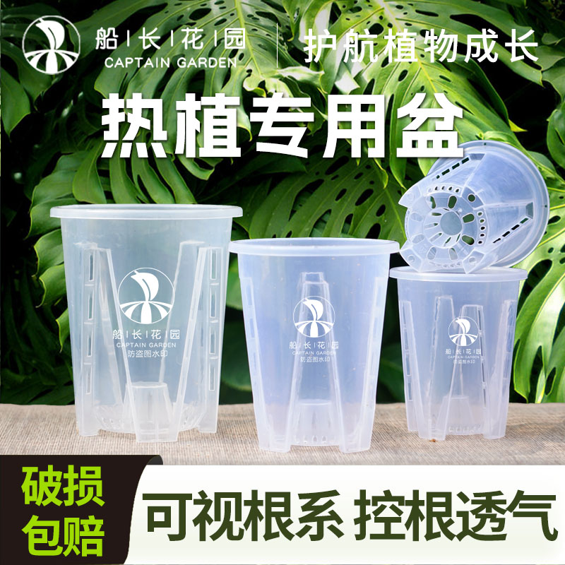 热植花盆天南星科兰花透明控根盆