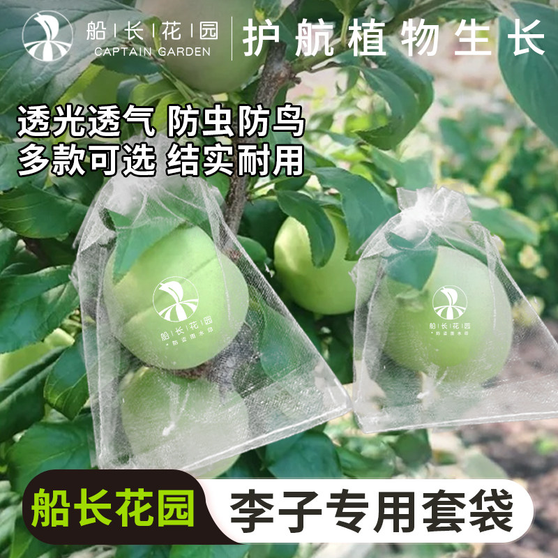 李子套袋果袋草莓桃子枇杷专用瓜果防虫袋透气套袋通用尼龙网纱袋