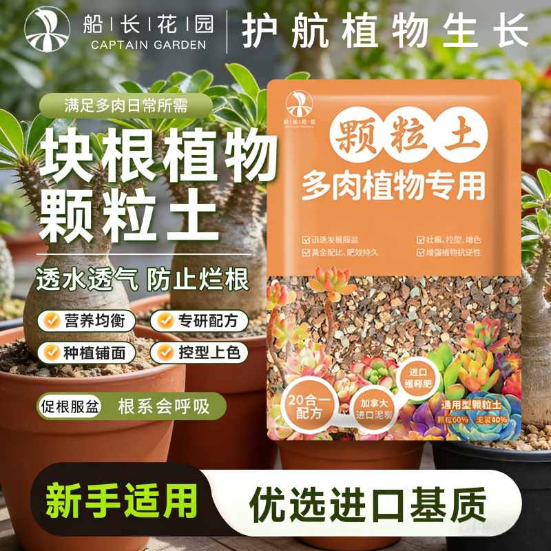 块根多肉沙漠玫瑰颗粒土图片