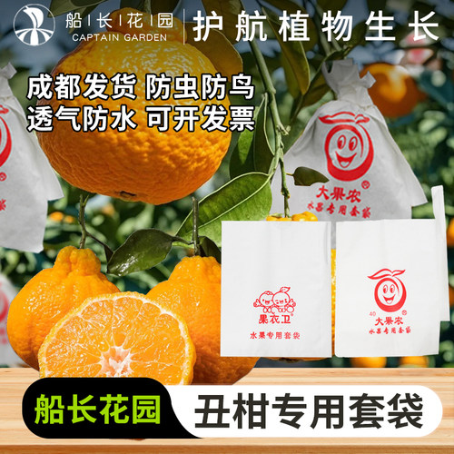 柑橘套袋丑橘沃柑专用水果套袋