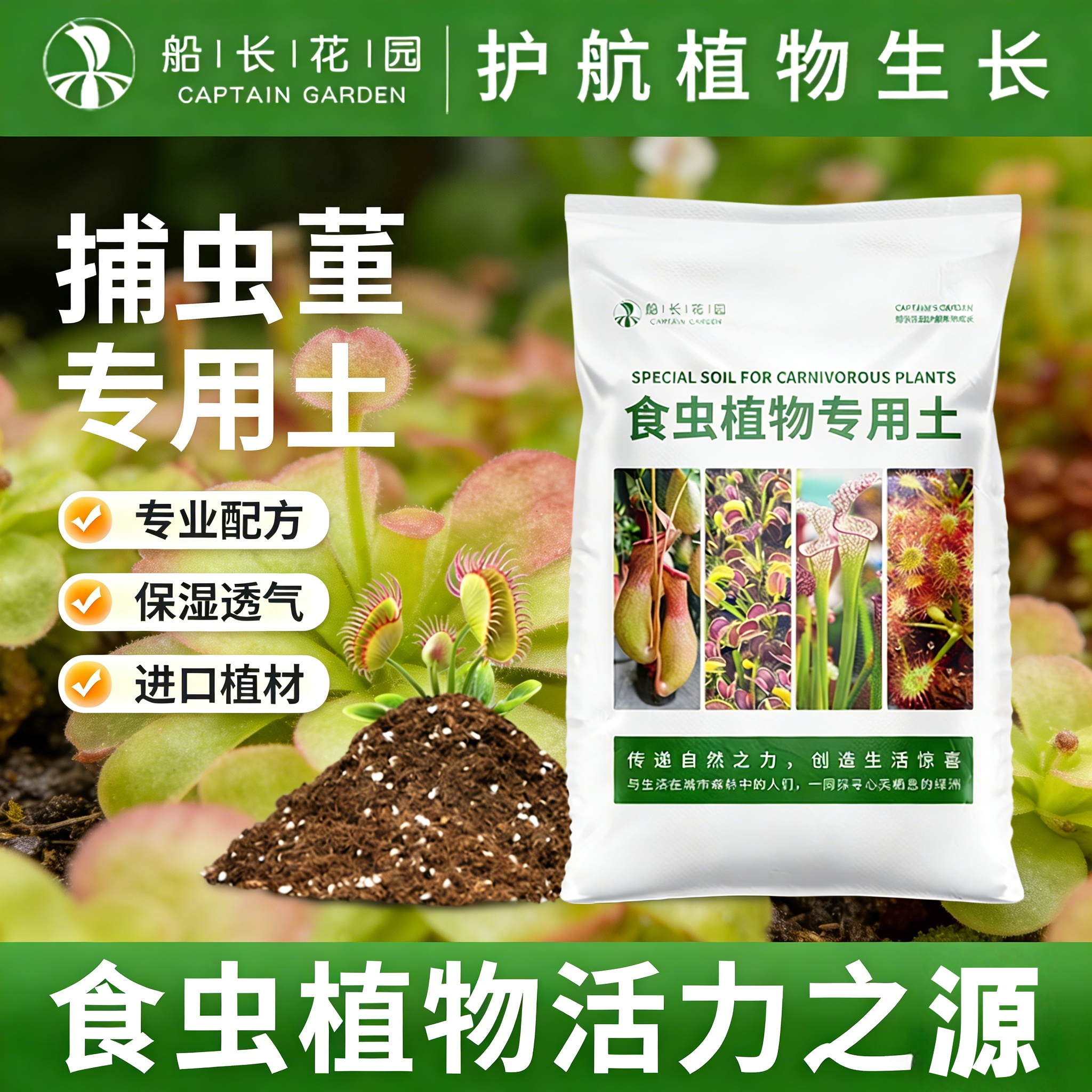 捕虫堇专用土种植盆栽爱丝红樱石灰岩基质营养土食虫植物水苔泥炭 - 实物图