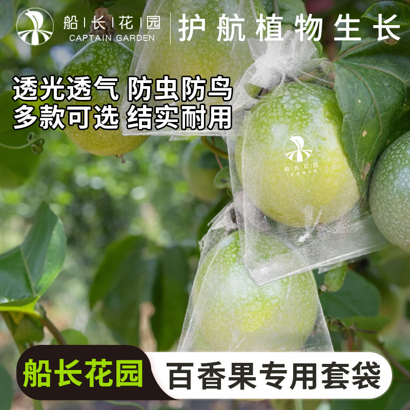 百香果专用网纱套袋防虫防鸟果袋图片