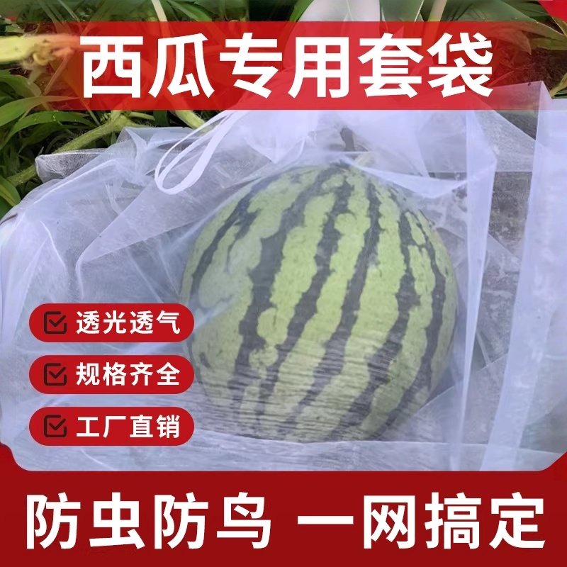西瓜套袋专用袋防虫防鸟神器网纱果袋香瓜哈密瓜果蔬户外保护套袋,鲜花速递/花卉仿真/绿植园艺,其它园艺用品,淘宝优惠券,粉丝福利购,淘宝优惠卷