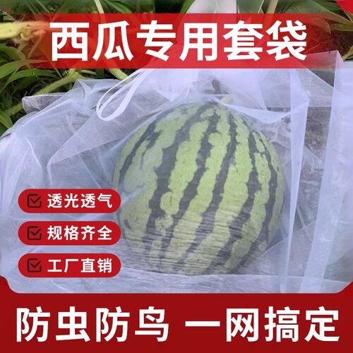西瓜套袋香瓜哈密瓜果蔬专用袋