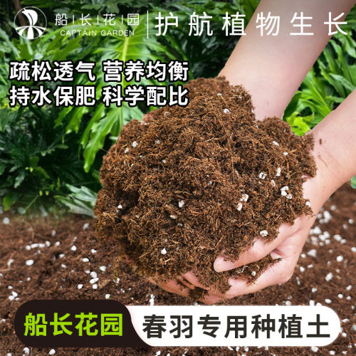 春羽专用土热植盆栽通用营养土