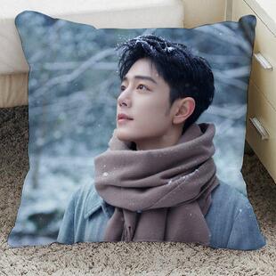 肖战抱枕定魏无羡周边玩偶王一博可爱公仔双面毛绒定制含芯