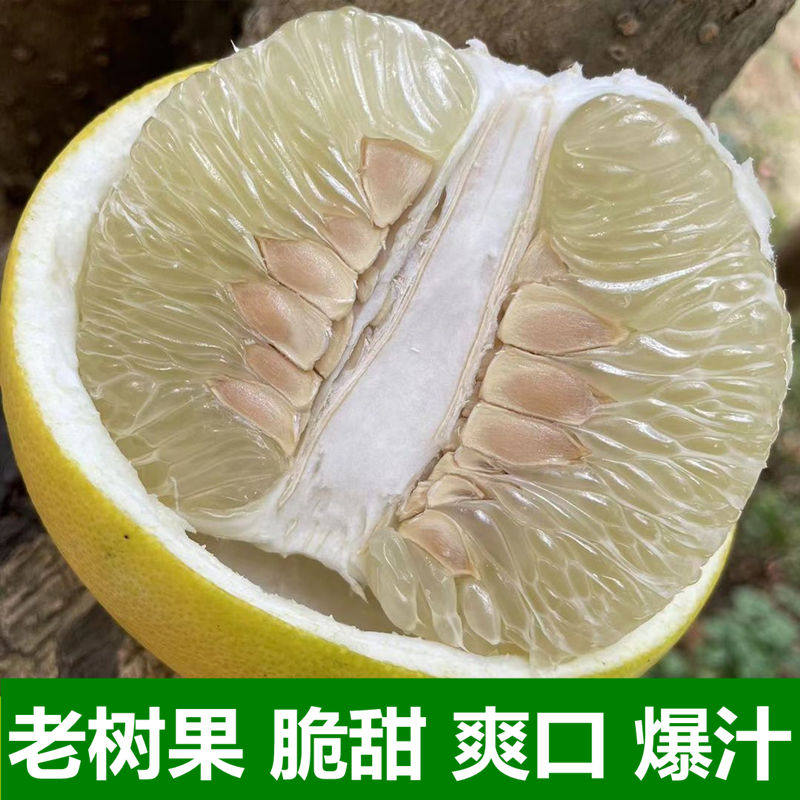 湖南怀化雪峰山冰糖橙新鲜水果安江柚子小香柚脆甜多汁小苦柚药柚