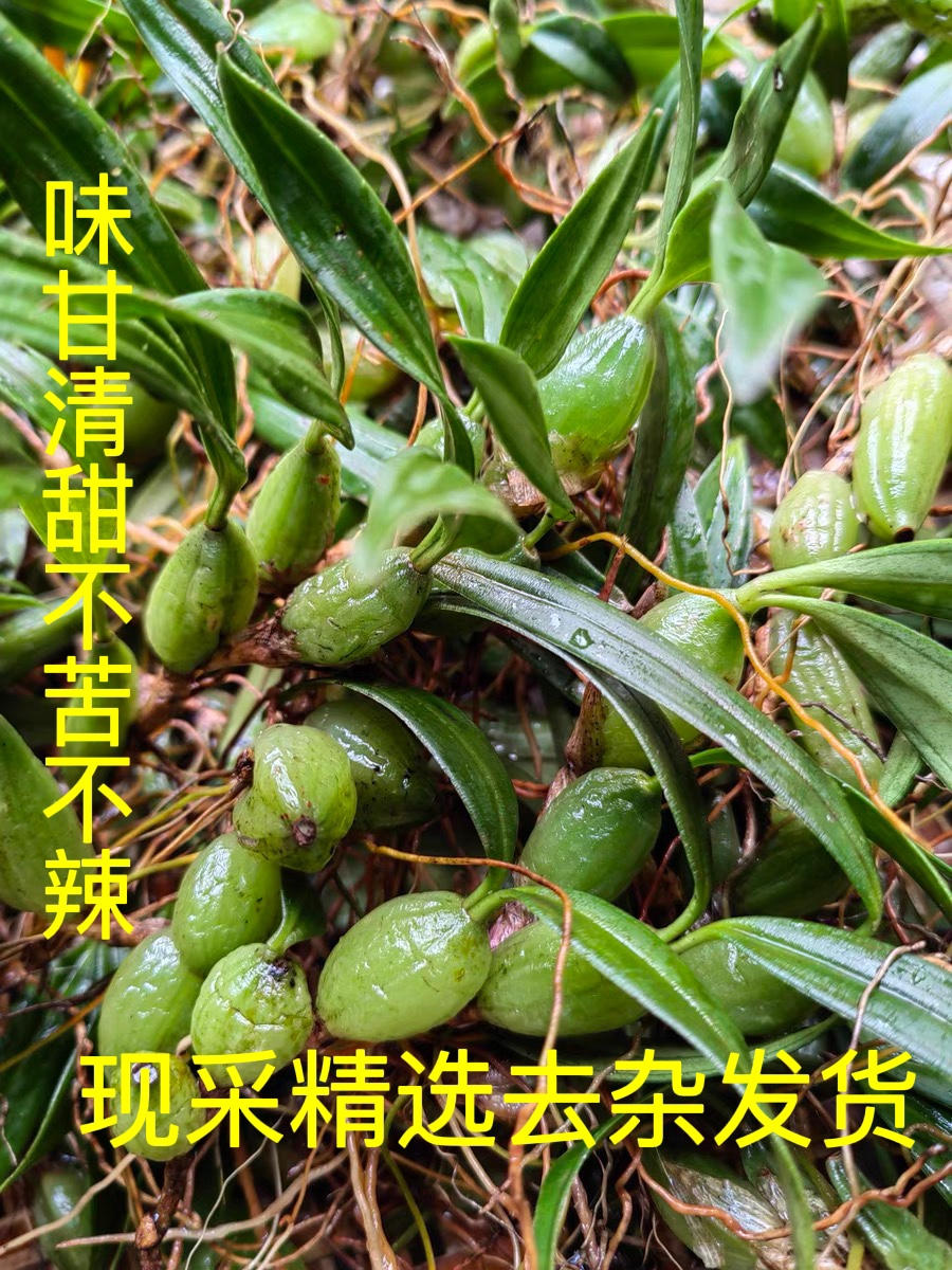 广州野生袋装清肺润喉止咳中小号