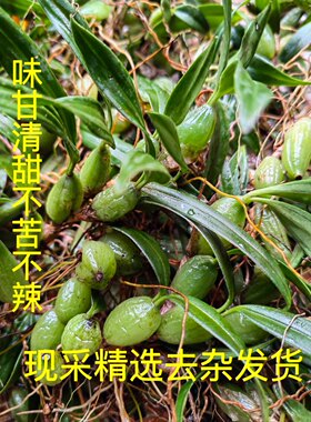 广州野生袋装清肺润喉止咳中小号