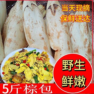 于都野生棕包赣南特产野生新鲜棕包米棕笋粽包花棕树尖棕包棕带壳