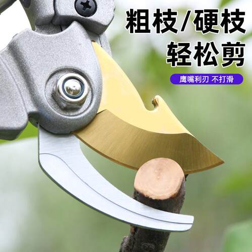 枝厂货鲨头剪园林多功修枝剪刀能果枝园粗剪果剪花园剪GWR树枝剪