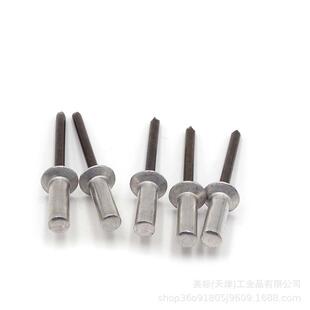 铝铁封闭头抽芯拉铆钉3/3.沉2//44.8型VKP/5防水钉埋头钉GB12616.