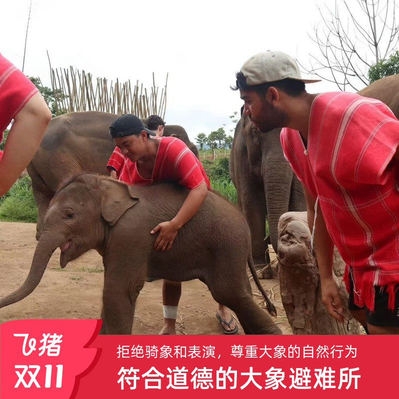 清迈竹筏大象保护营