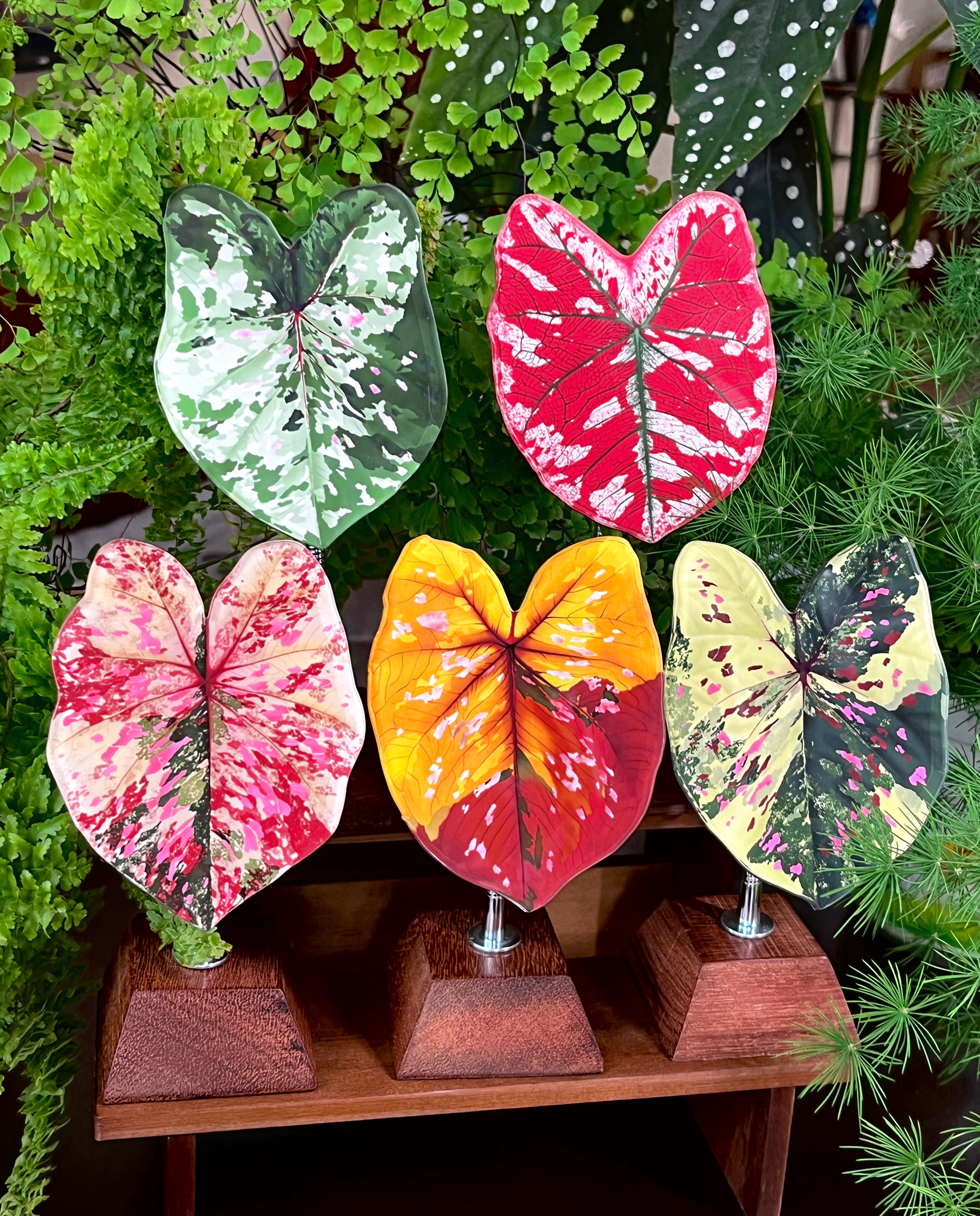 热植，植物，冰箱贴，文创