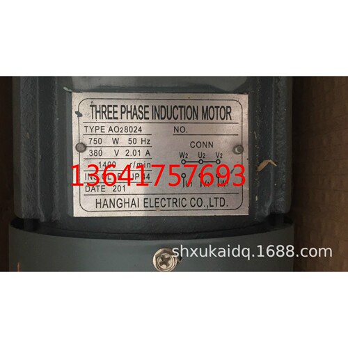 HANGHAI电动机THREE PHASE INDUCTION MOTOR电机AO28024 750W