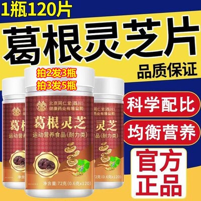 北京同仁堂葛根灵芝片官方正品