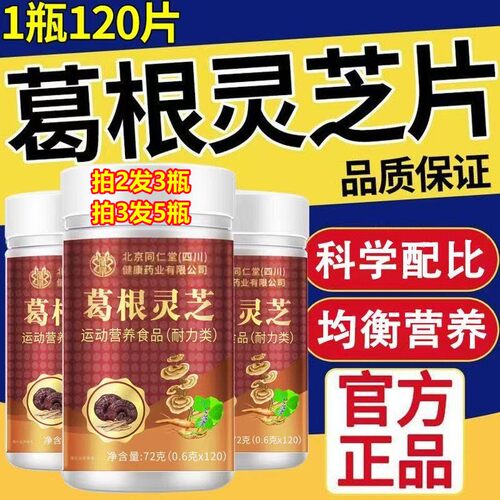 北京同仁堂葛根灵芝片官方正品