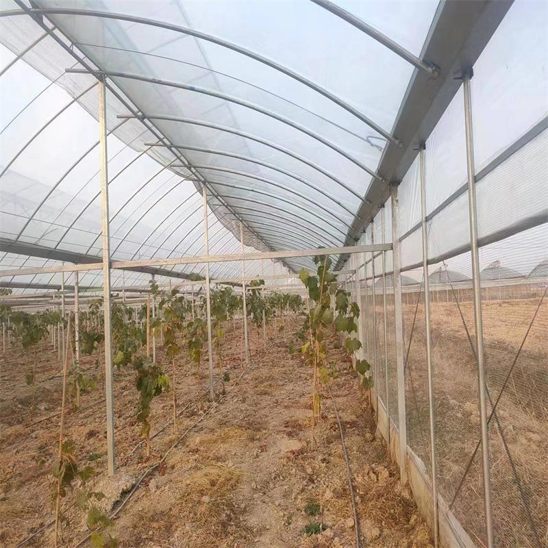 多肉花卉Q235B热镀锌椭圆管 小型家用养殖大棚骨架配件全套