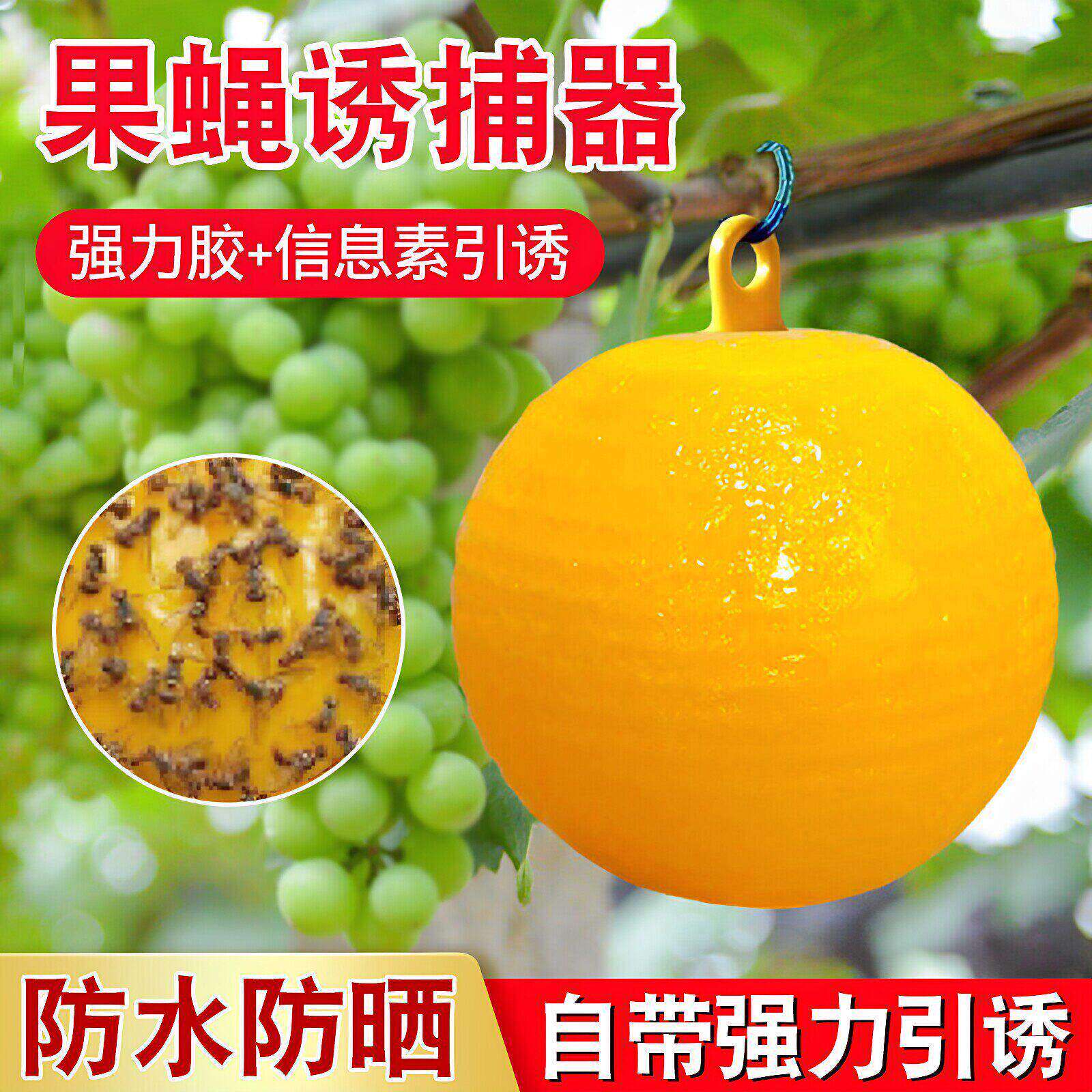 果蝇实蝇诱粘球室内外粘蝇球