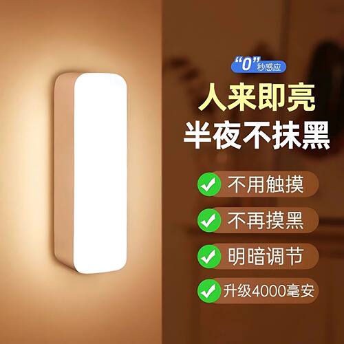 智能充电人体感应声控小夜灯