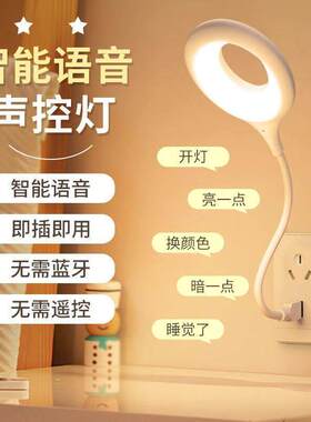 智能语音控制小夜灯泡USB声控感应卧室床头睡眠家用2026新款台灯