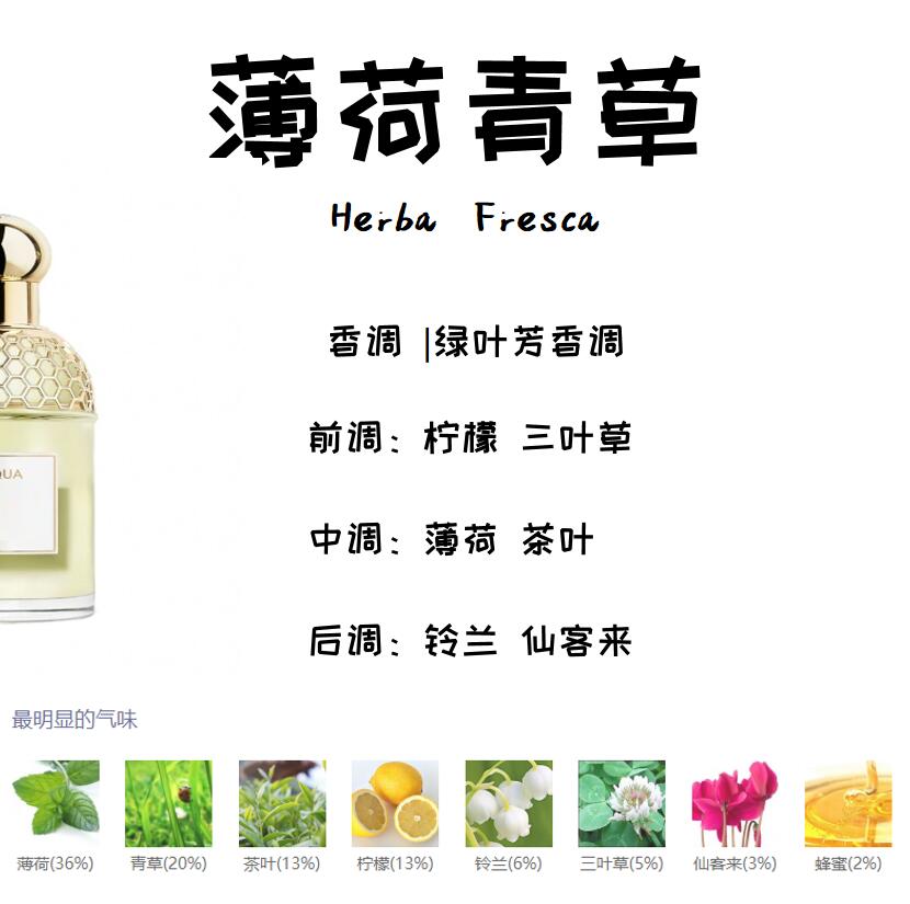 薄荷青草 香水小样薄荷味夏天清香水