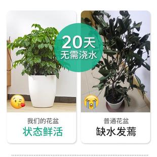 大绿萝花盆自动吸水北欧落地客厅懒人家用圆形大号花盆白色塑料盆