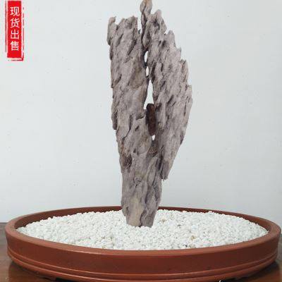 英德石附树石造景长条石盆景天然树抱石绿植花盆鱼缸装饰桌面摆件