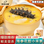 海参小米花胶粥营养胶原蛋白即食早餐养生粥开盖加热即食鱼胶